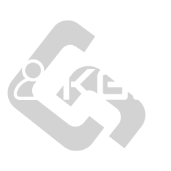 株式会社KGD